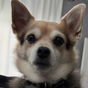 ✌🏻✌🏻✌🏻